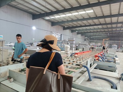 生物基可降解高分子木塑復合材料技術開發(fā)咨詢服務