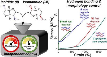 糖竟是可持續密鑰?糖基環保塑料兼具機械特性和可降解雙重優勢