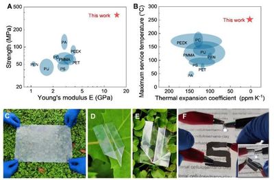 中國(guó)科大俞書宏院士團(tuán)隊(duì)研制可降解仿生透明薄膜